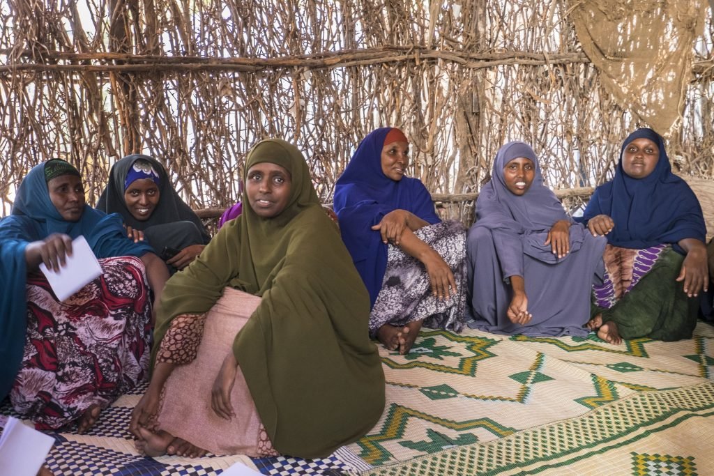 Capacity Building on Climate-smart Agriculture for Smallholder Farmers and Pastoralists