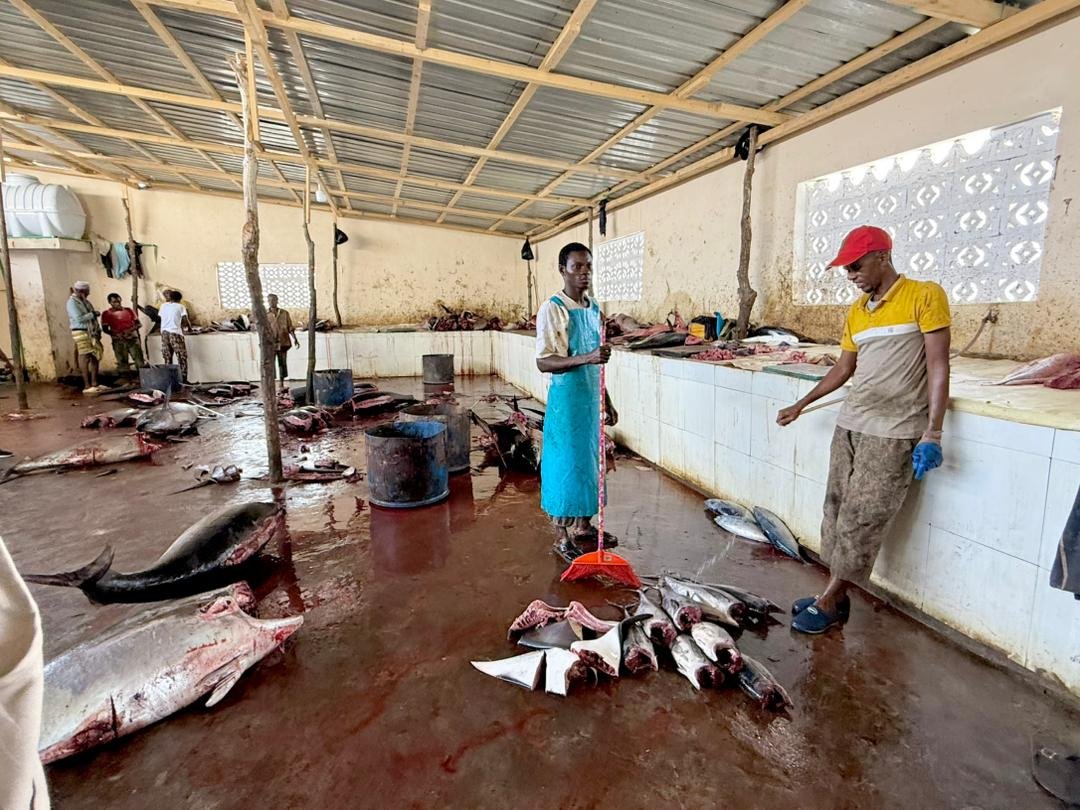 Enhancing Sustainable Fisheries and Coastal Livelihoods in Jubaland (2025)