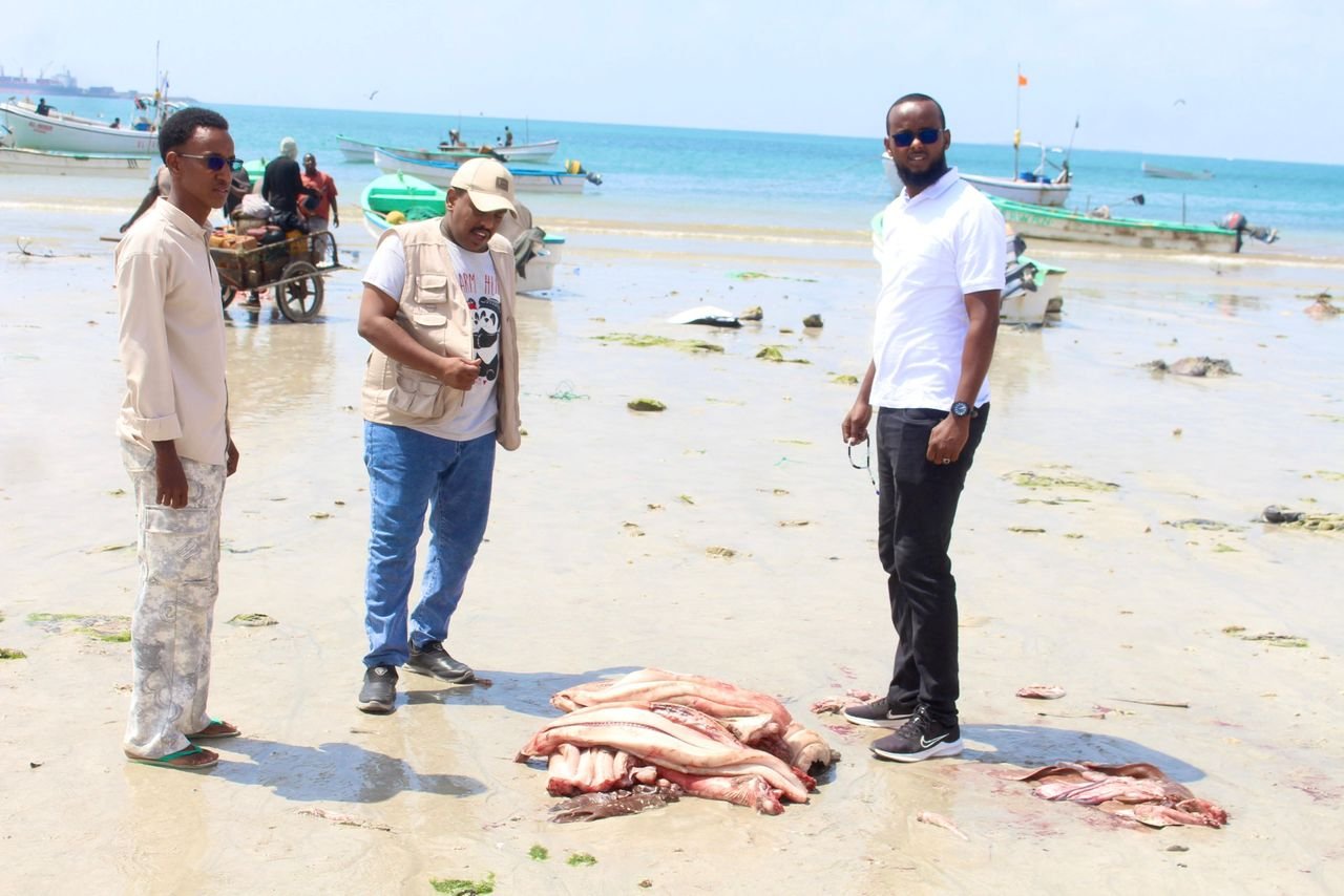 Enhancing Sustainable Fisheries and Coastal Livelihoods in Jubaland (2025)