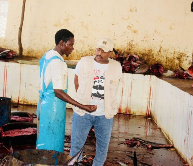 Fishing & Coastal Livelihoods