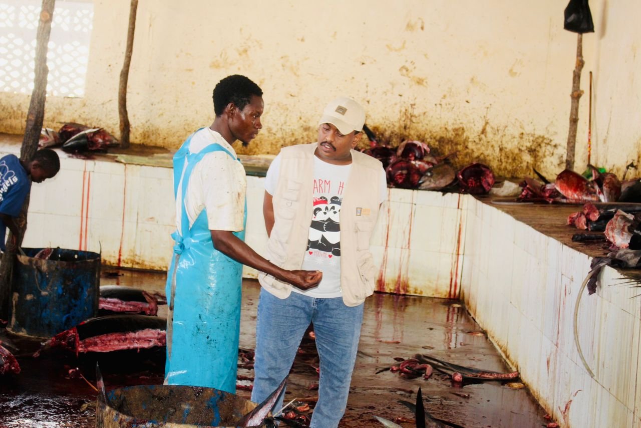 Fishing & Coastal Livelihoods